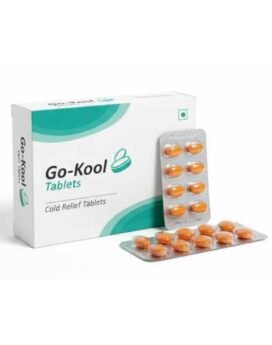 Go-Kool Cold Relief Tablets